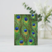 Mooie Peacock Feathers Briefkaart (Staand voorkant)