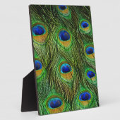 Mooie Peacock Feathers Fotoplaat (Zijkant)