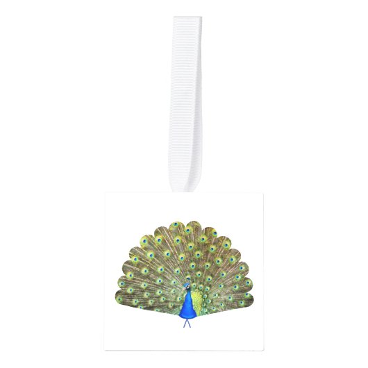 Mooie Peacock Feathers Kubus Ornament (Voorkant)