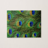 Mooie Peacock Feathers Legpuzzel (Horizontaal)