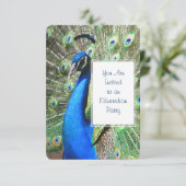 Mooie Peacock Kaart (Staand voorkant)