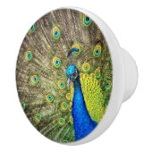 Mooie Peacock Knob Keramische Knop (Rechts)