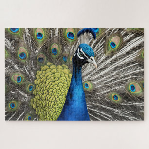 Mooie Peacock Legpuzzel