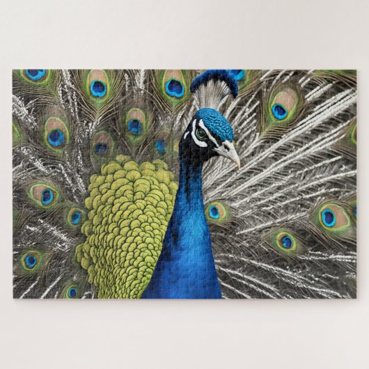 Mooie Peacock Legpuzzel (Horizontaal)
