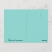 Mooie Peacock met zijn Tail Feathers Open Briefkaart (Achterkant)