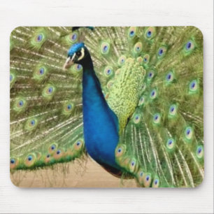 Mooie Peacock Muismat
