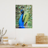 Mooie Peacock Poster (Keuken)