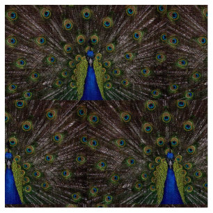 Mooie Peacock Stof
