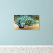 Mooie Peacock Stretched Canvas Print (Insitu (Houten vloer))