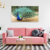 Mooie Peacock Stretched Canvas Print (Insitu (Woonkamer))