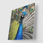 Mooie Peacock Vierkante Klok (Hoek)