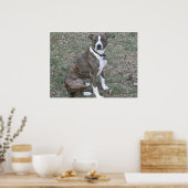 Mooie peerboksgemuis poster (Keuken)