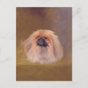 Mooie Pekingees Briefkaart