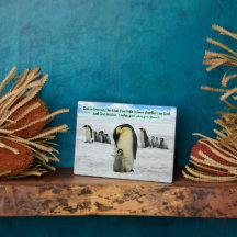 Mooie Penguin Schrift Plaque 1 Johannes 4:16