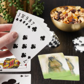 Mooie penningkaarten pokerkaarten (Insitu)