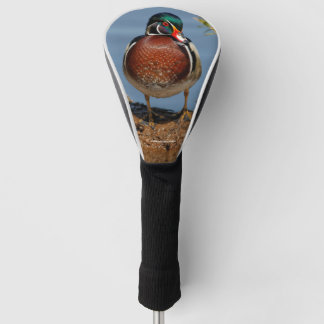 Mooie Pensive Wood Duck in Marsh Golfheadcover