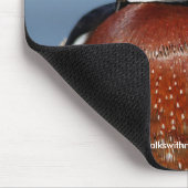 Mooie Pensive Wood Duck in Marsh Muismat (Hoek)