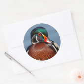 Mooie Pensive Wood Duck in Marsh Ronde Sticker (Envelop)