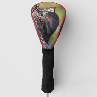 Mooie pileated Woodpecker op de boom Golfheadcover