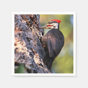 Mooie pileated Woodpecker op de boom Servet