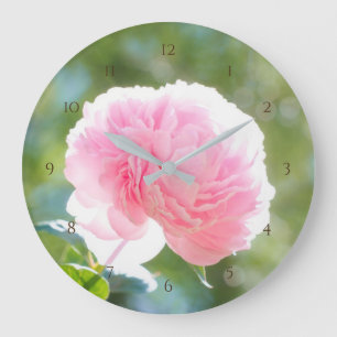 Mooie Pink Peony Flower in Sunlight Grote Klok
