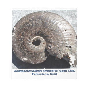 Mooie pirietammonietfossielen met beelden notitieblok