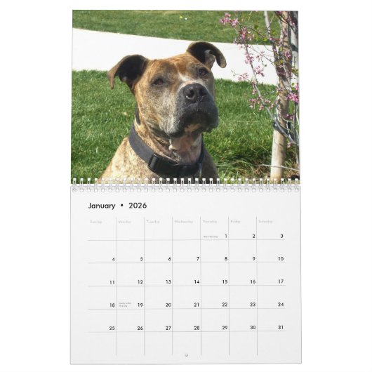 Mooie Pitbulls 2014 Dog Calendar Kalender (Jan 2026)