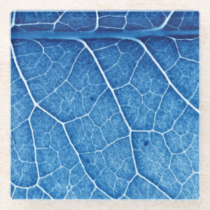 Mooie Planten close-up textuur achtergrond Glazen Onderzetter