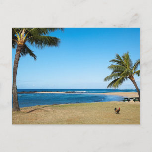 Mooie Po'ipu Beach, Kaua'i, Hawaii Briefkaart