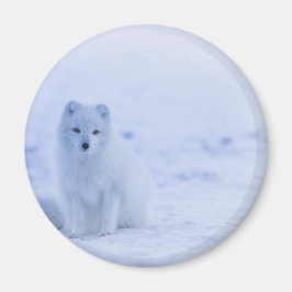 Mooie poolvos magneet