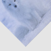 Mooie poolvos tissuepapier (Detail)