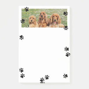 Mooie Pootafdrukken Brede Huisdier Foto Post-it® Notes