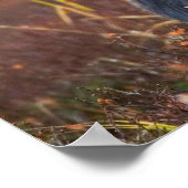 Mooie! Poster (Hoek)