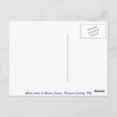 Mooie postkaart van druiven (Achterkant)