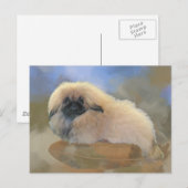 Mooie Puppy Briefkaart (Voorkant / Achterkant)