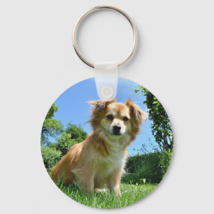 Mooie puppy in de tuin foto sleutelhanger