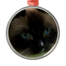 Mooie Ragdoll Cat Ornament