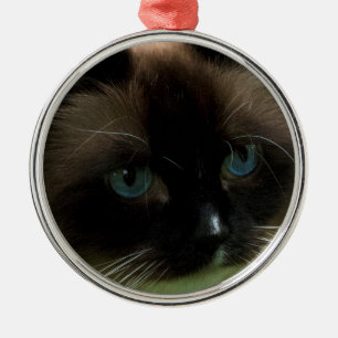 Mooie Ragdoll Cat Ornament