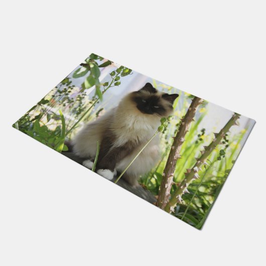 Mooie Ragdoll Deurmat (Schuin)