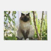 Mooie Ragdoll Deurmat (Voorkant)