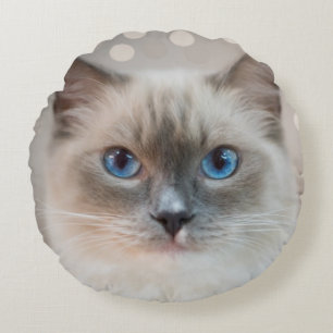 Mooie ragdoll-kat op beige rond kussen