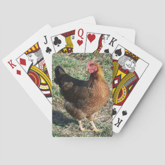 Mooie Rare Chicken Breed Welzomer Hen Pokerkaarten
