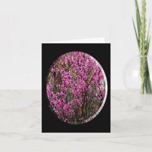 Mooie Red Bud-boom..... Kaart