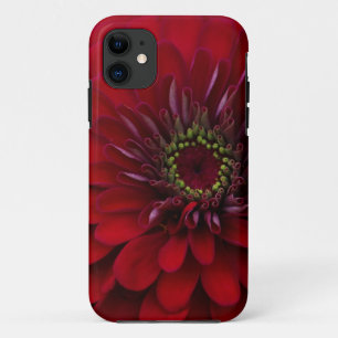 Mooie Red Garden Zinnia Flower iPhone 11 Hoesje