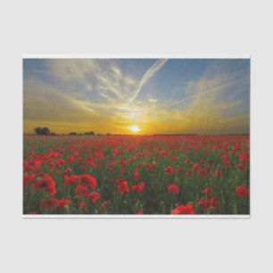 Mooie Red Poppy Field Sunset fotografie Tissuepapier