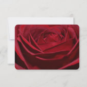 Mooie Red Rose Romantische RSVP (Achterkant)