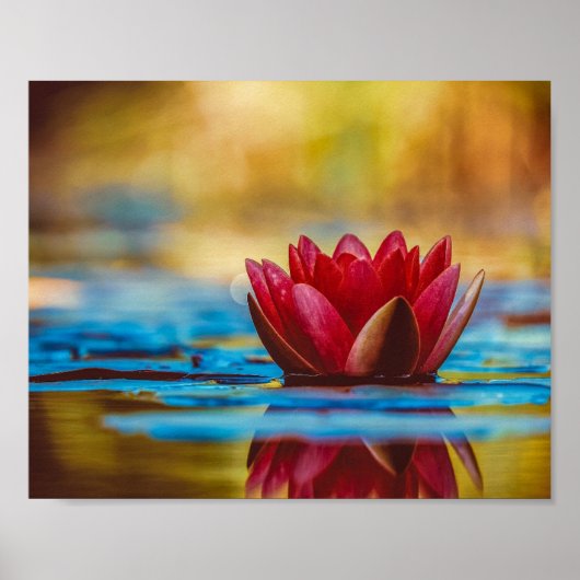 Mooie Red Water Lily Poster (Voorkant)