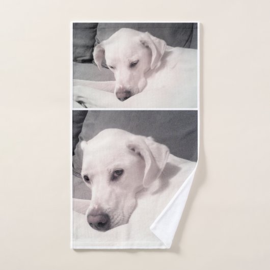 Mooie Regal Witte Labrador Mix Hond Grijs Hand T Handdoek (Handdoek)