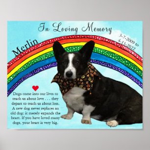 Mooie Regenboog Huisdier Herdenkingsposter Poster