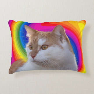 Mooie Regenboog Kleurrijke Kat Foto Accent Kussen